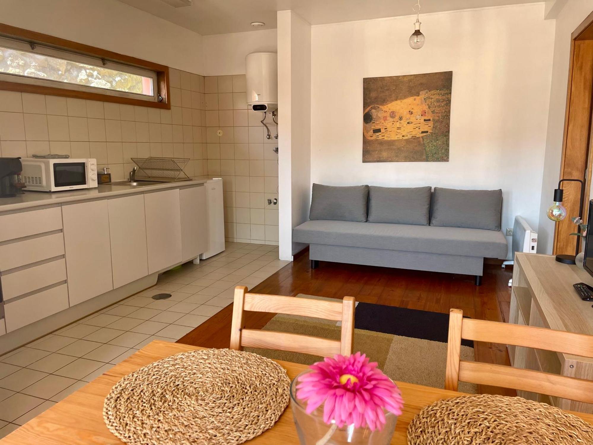 Douro River Charming Flats 포르투 외부 사진